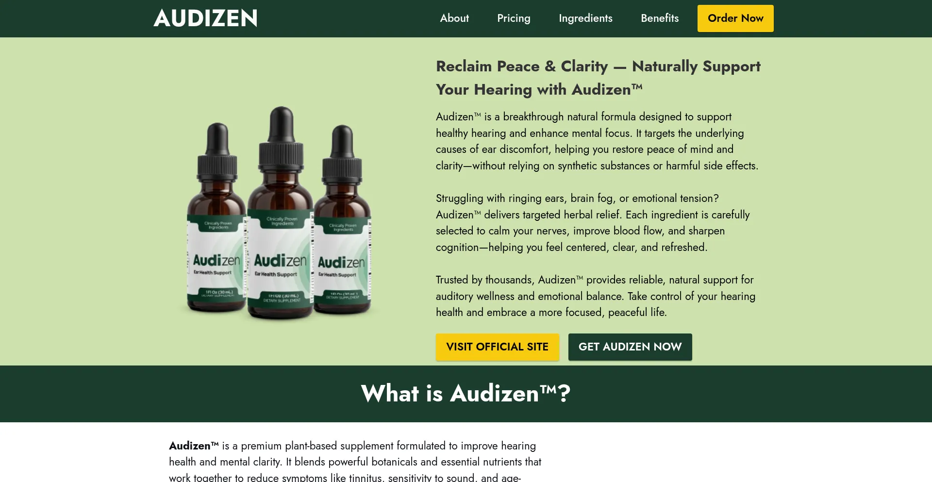 Eng-eng-audizen.com Screenshot
