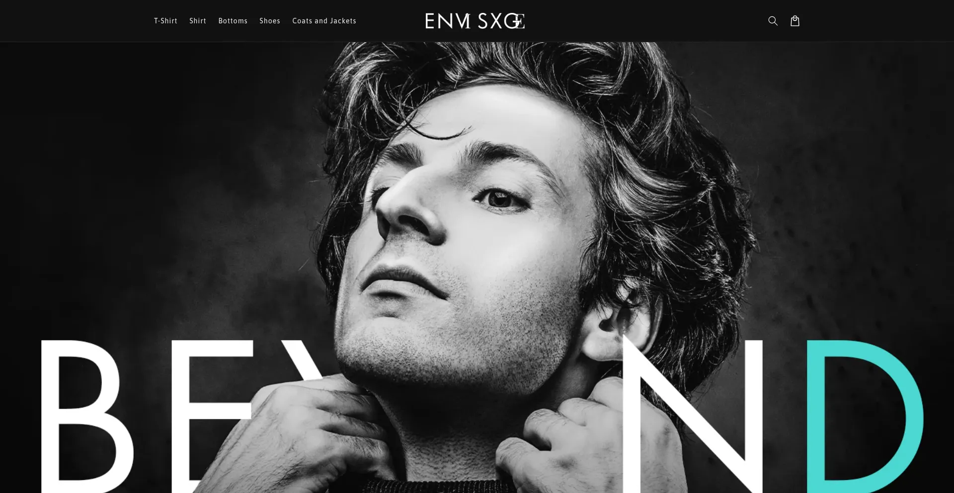 Website screenshot of Envisxge.com
