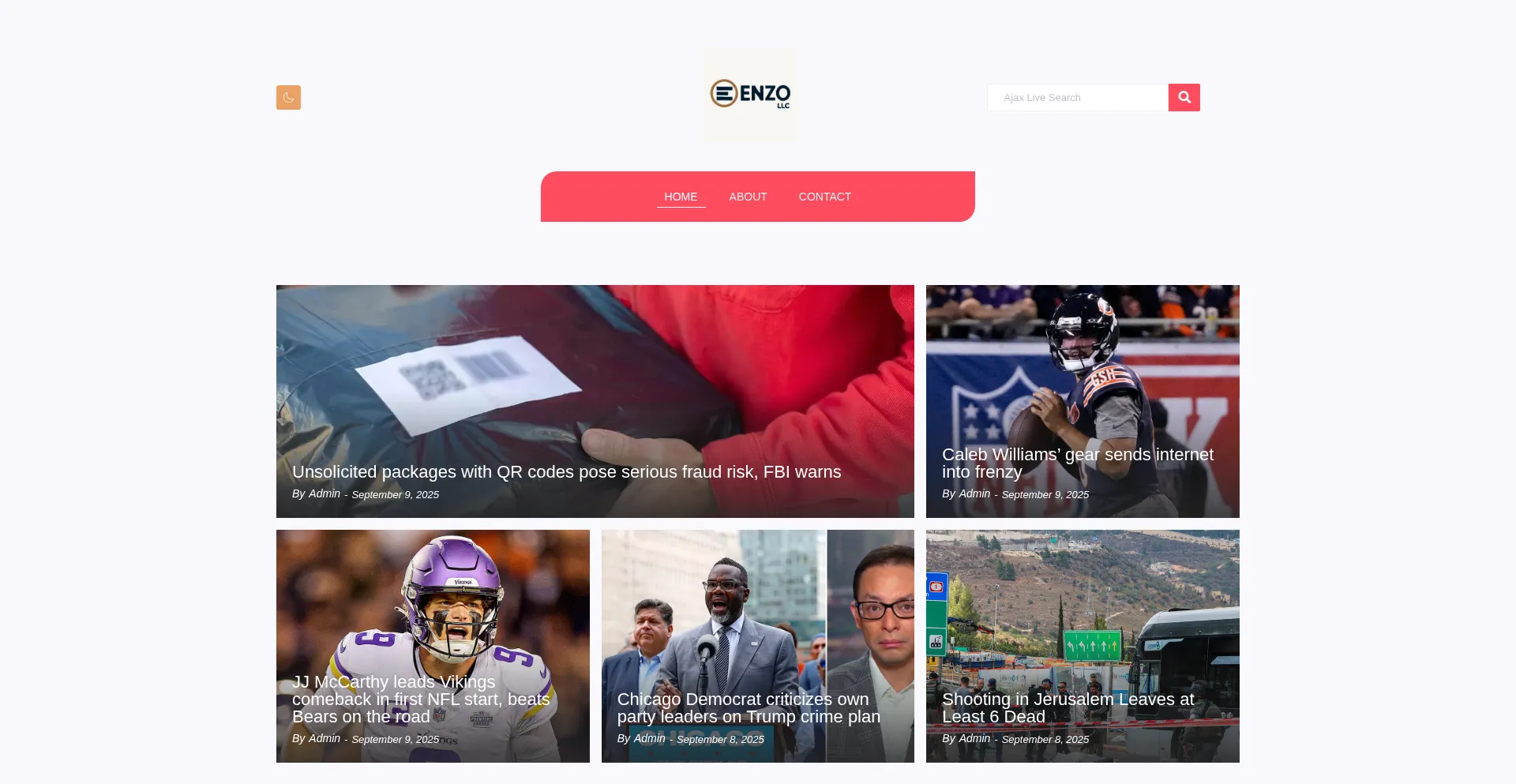 Website screenshot of Enzollc.net