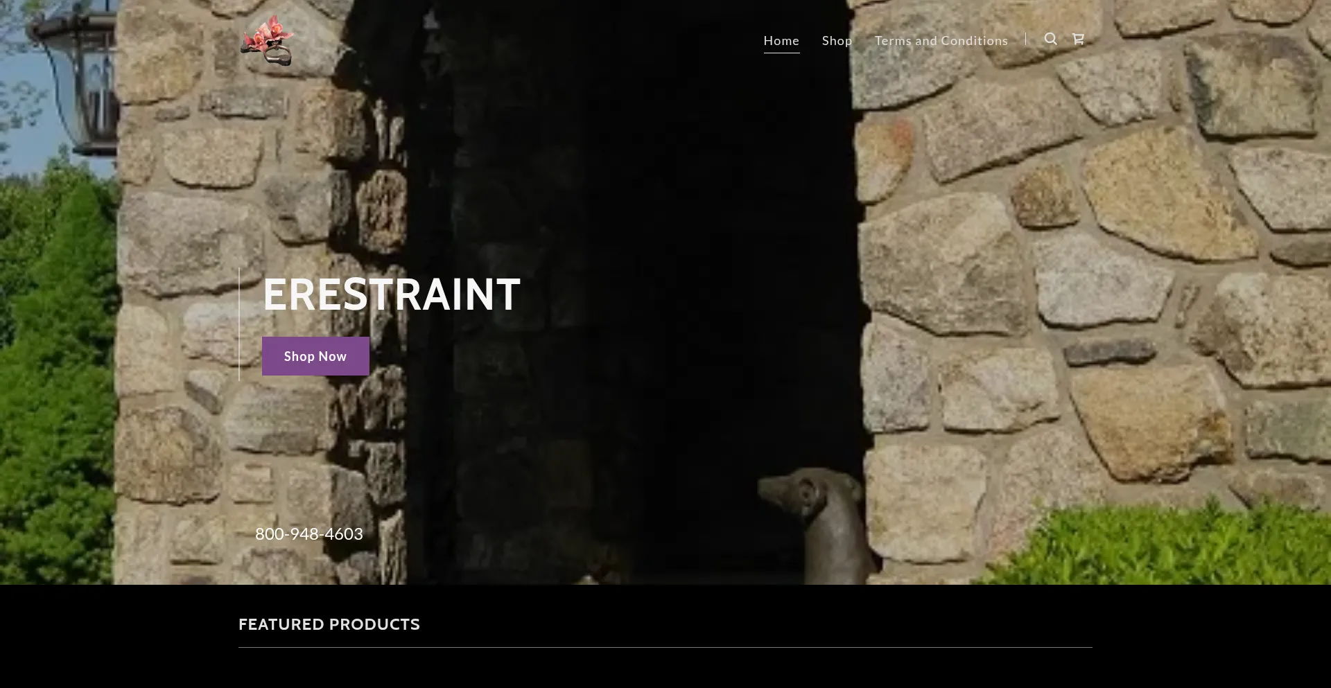 Website screenshot of Erestraint.com