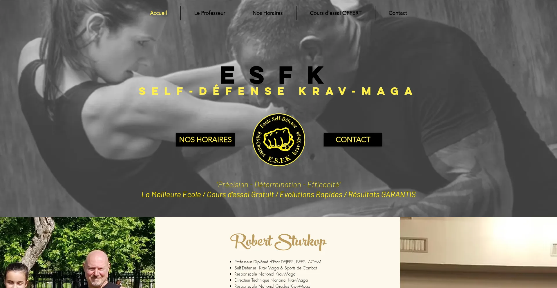 Website screenshot of Esfk.fr