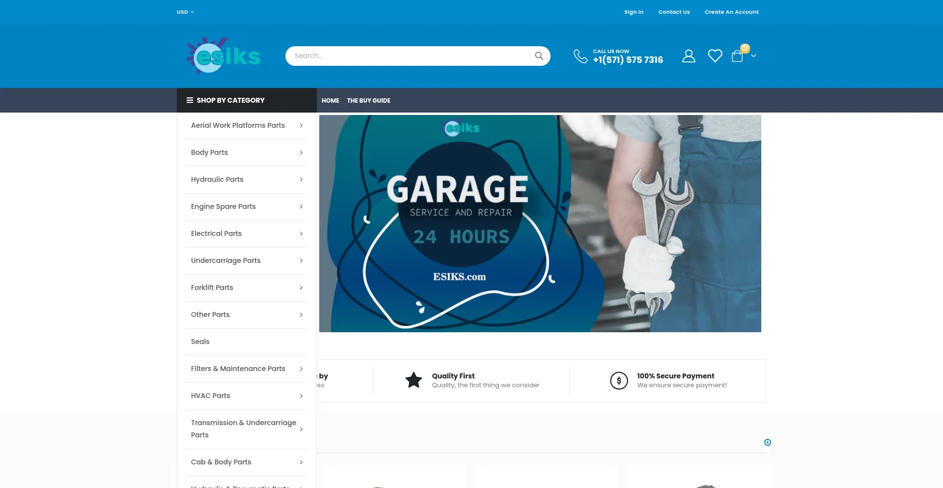 Website screenshot of Esiks.com