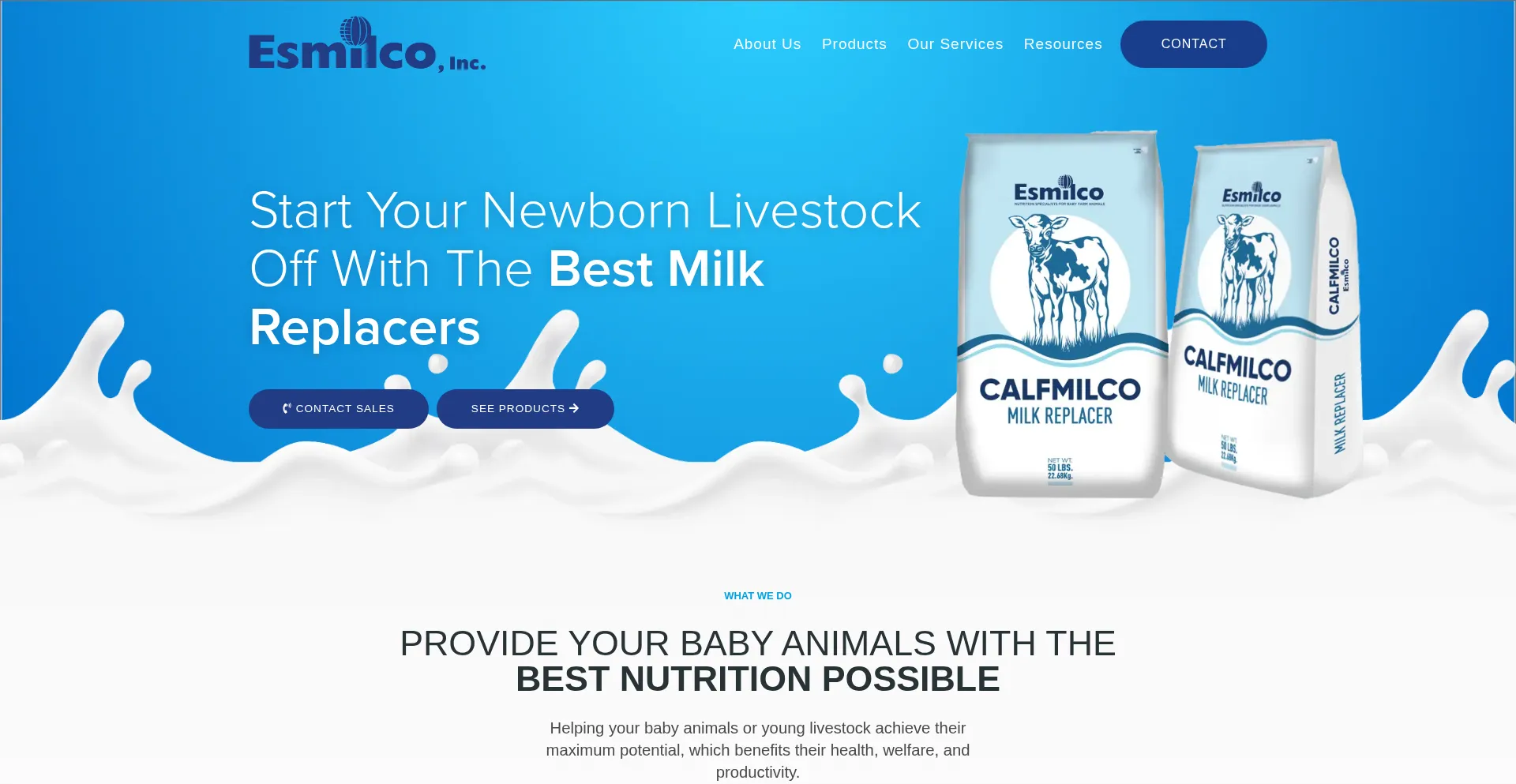 Website screenshot of Esmilco.com