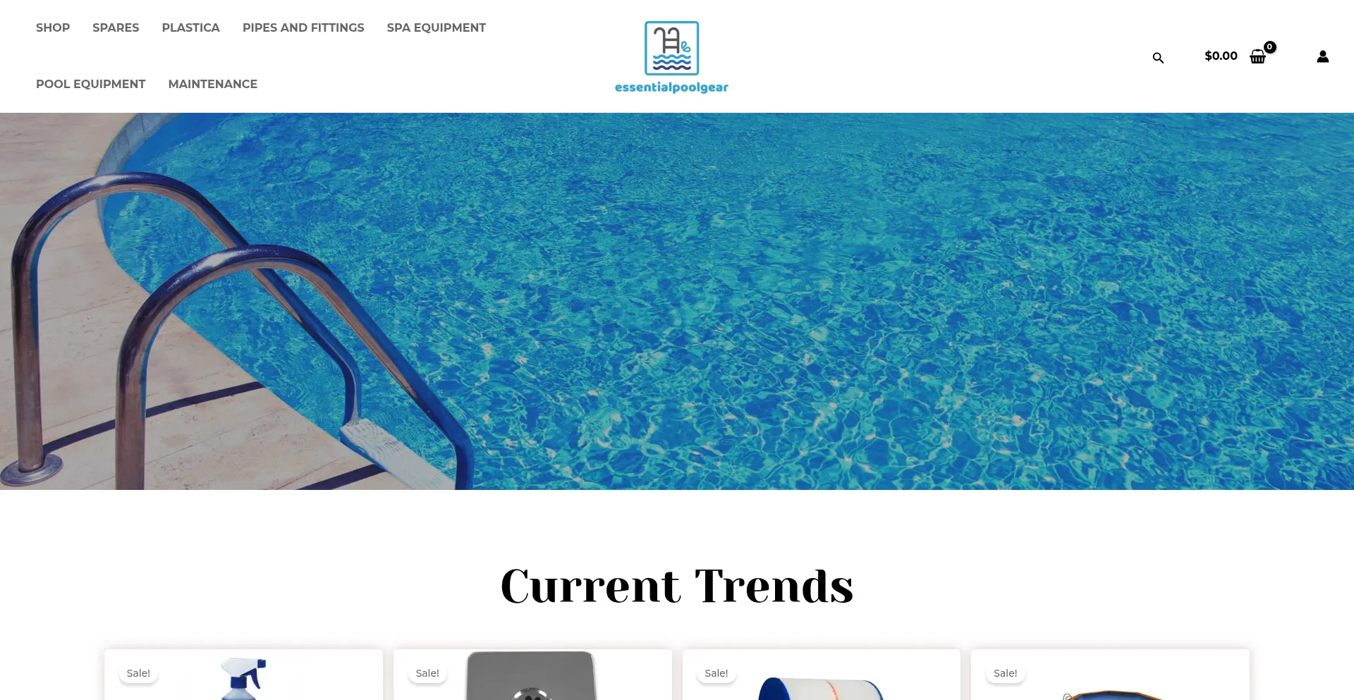 Essentialpoolgear.com