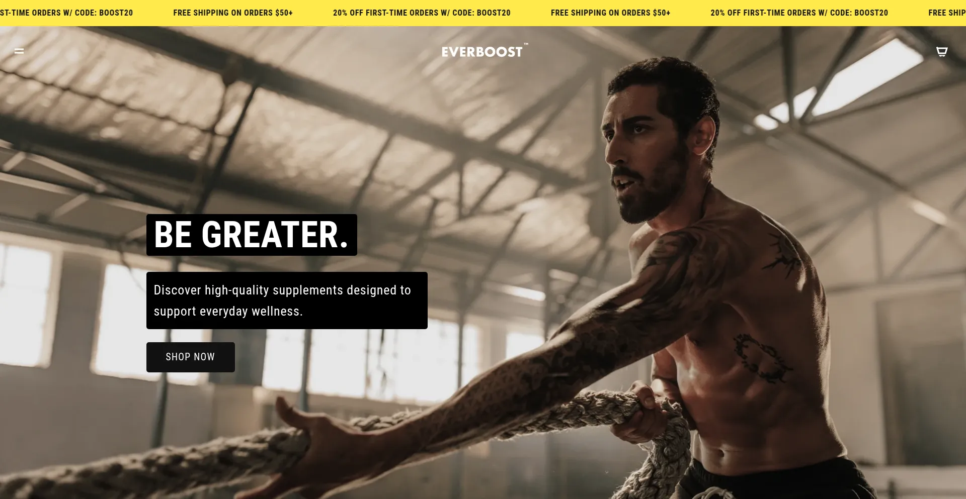 Website screenshot of Everboost.com