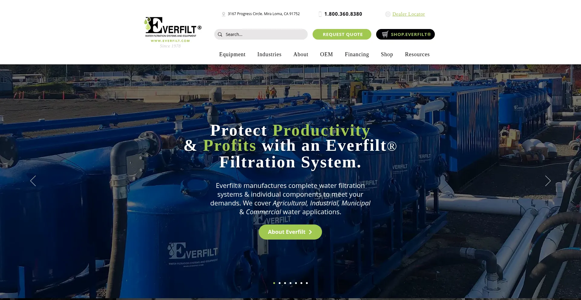 Everfilt.com é Seguro e Confiável?
