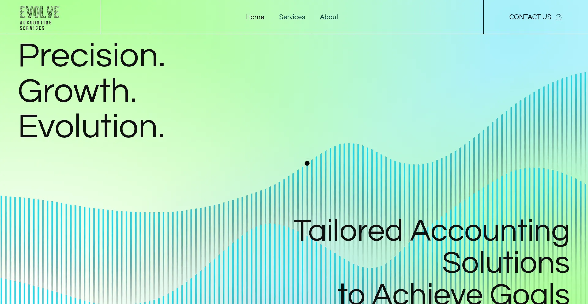 Evolveaccountingservice.in