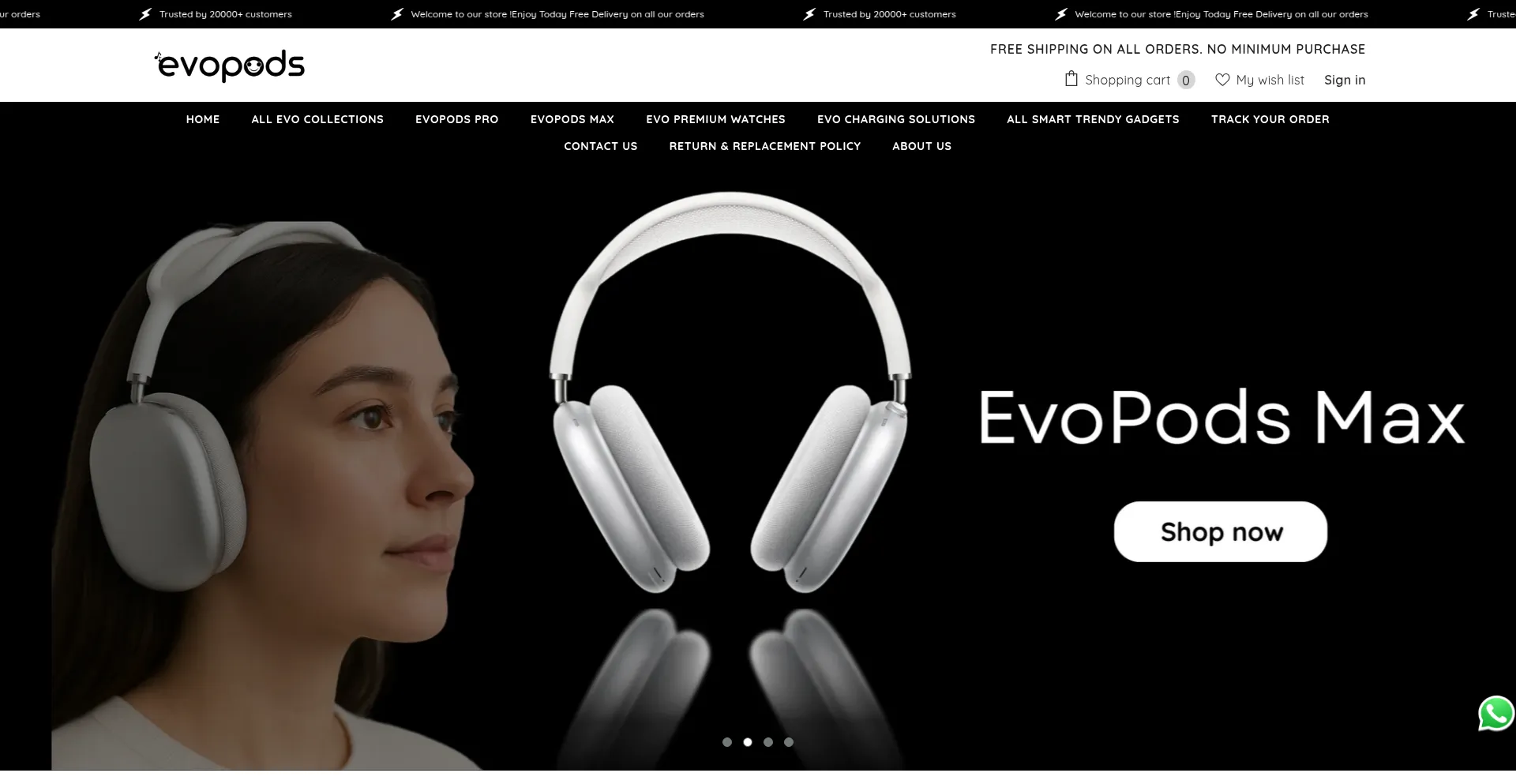 Website screenshot of Evopods.in