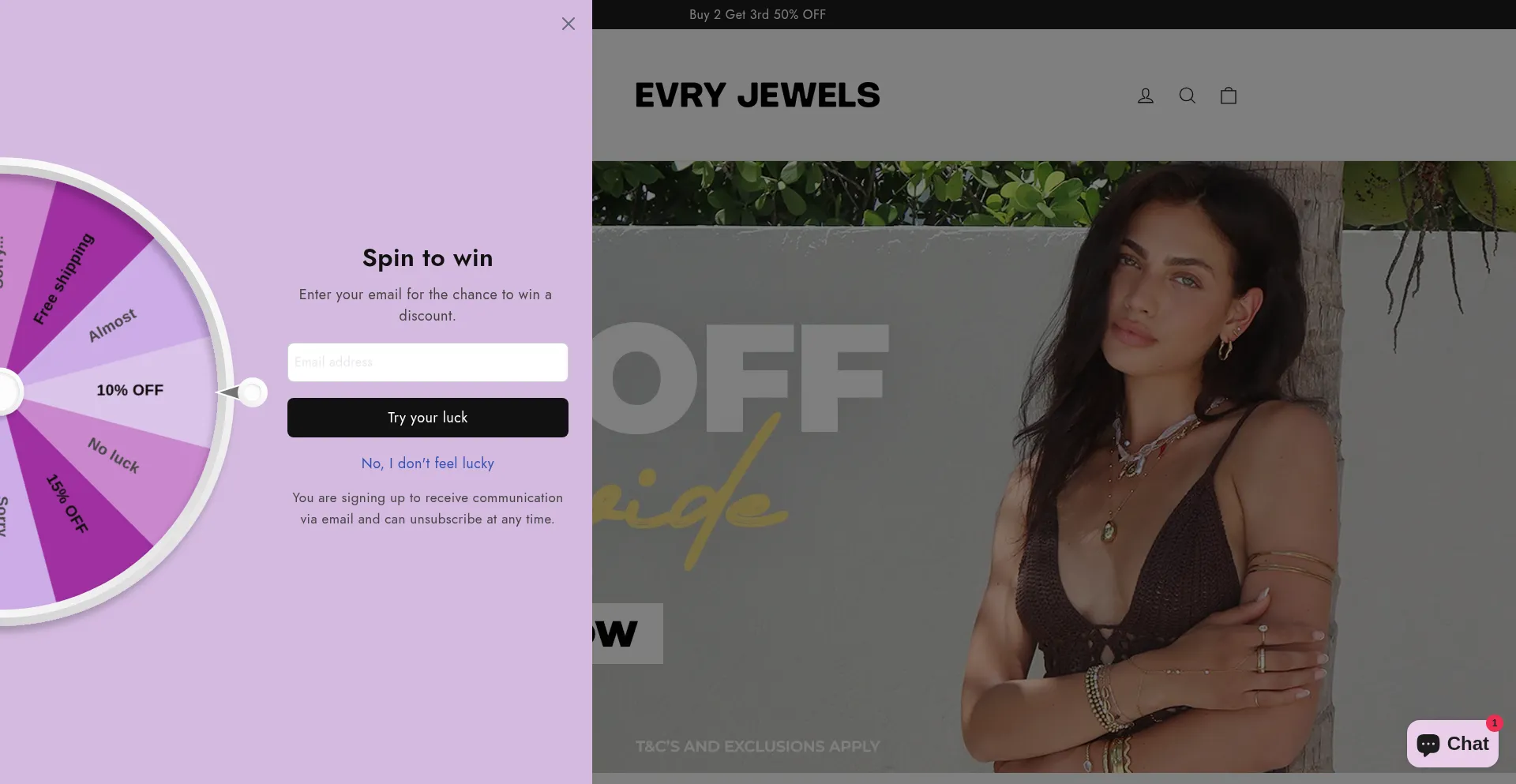 Evryjewelstore.com