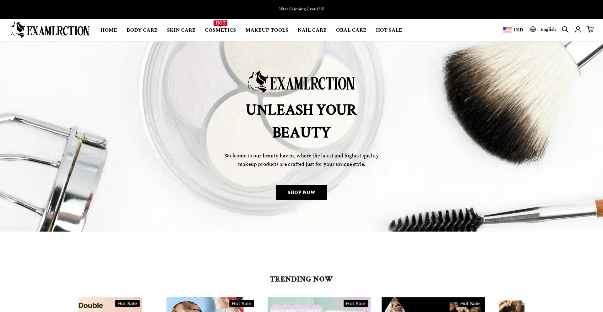 Website screenshot of Examlrction.com
