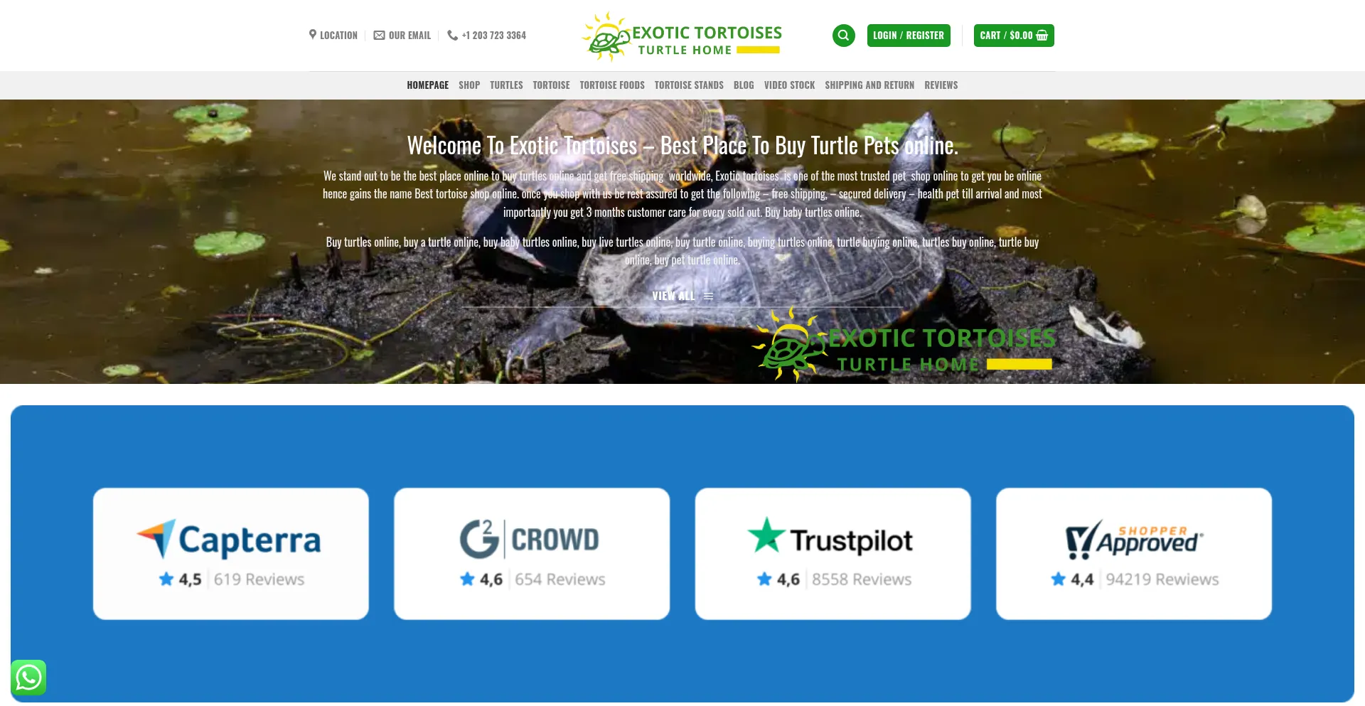 Exotictortoises.com