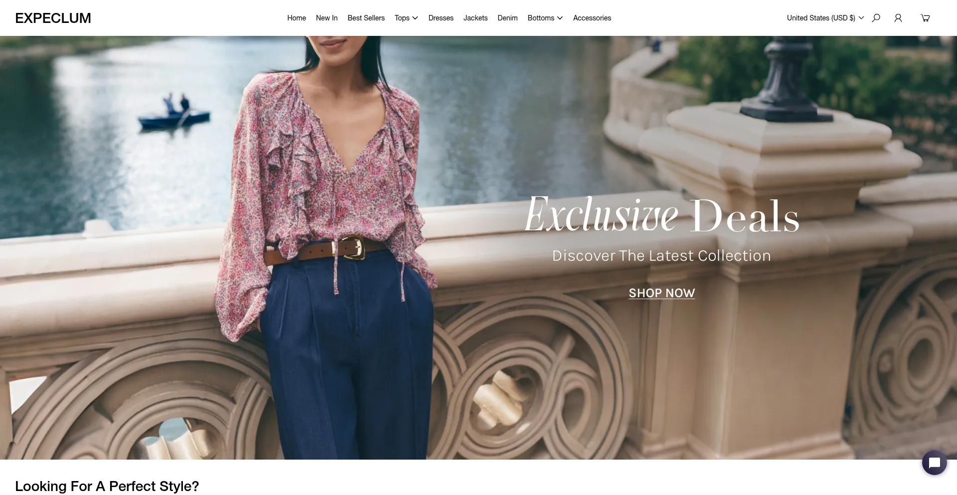 Website screenshot of Expeclum.com