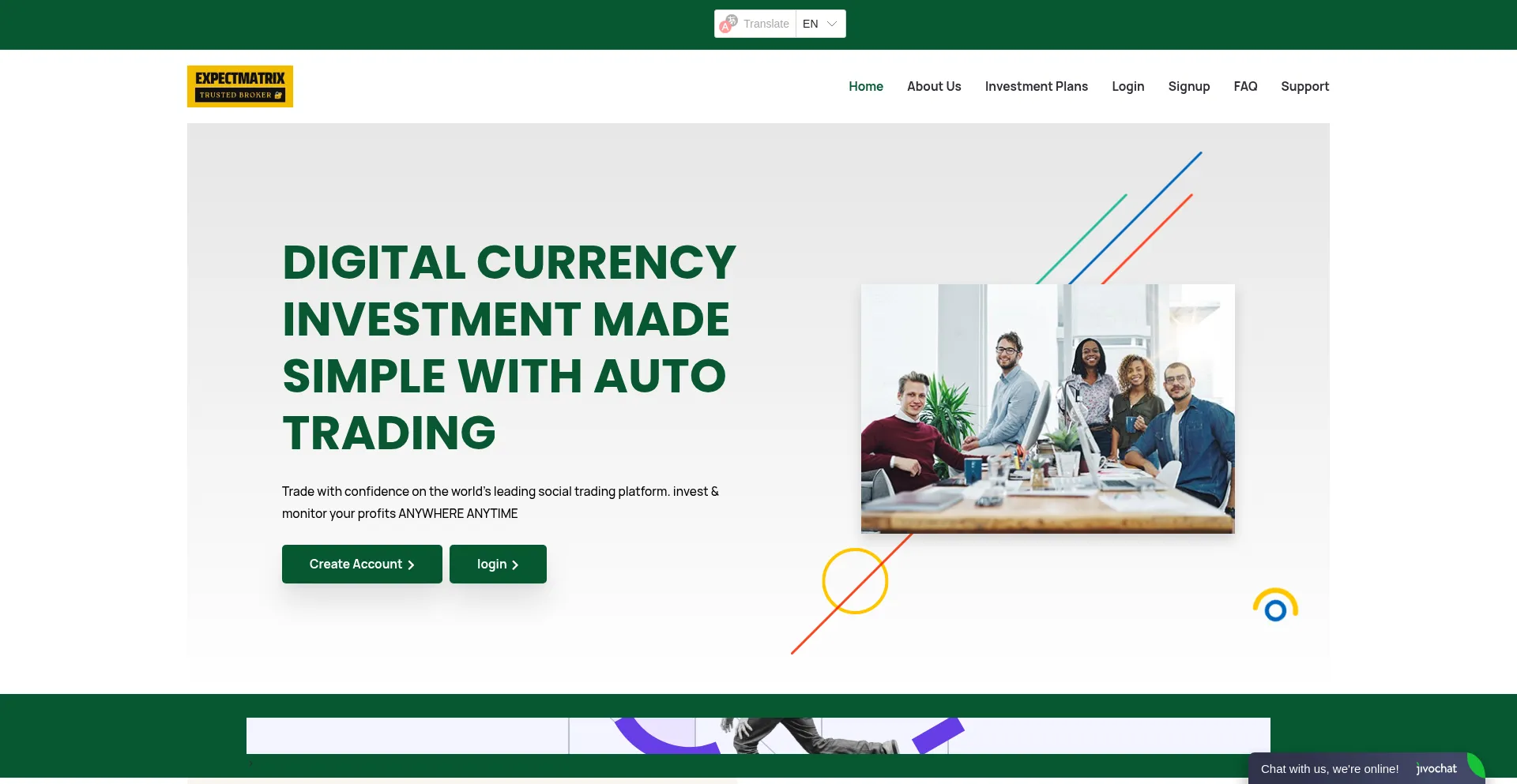 Website screenshot of Expectmatrixs.com