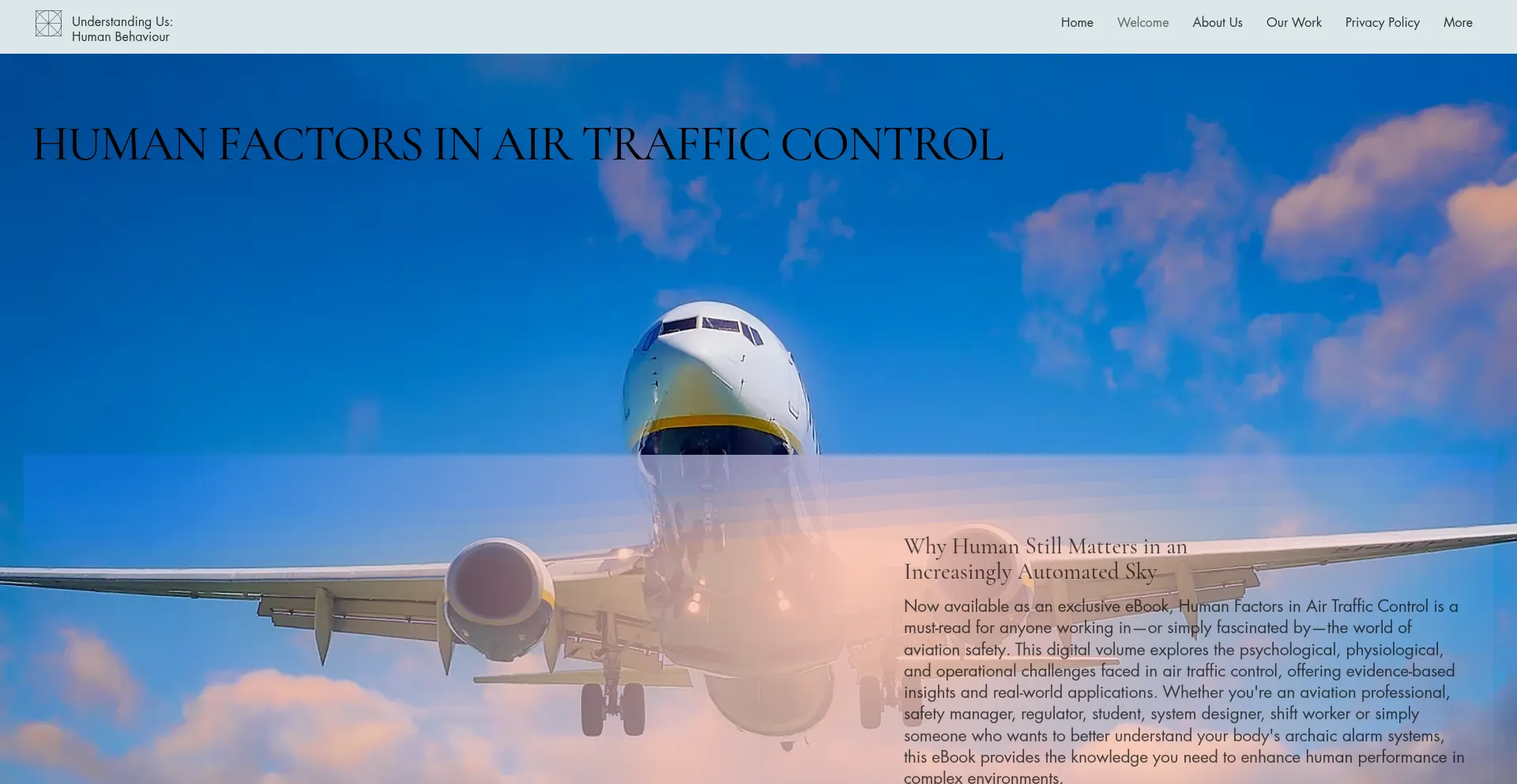 Website screenshot of Expertsonhumanfactors.store
