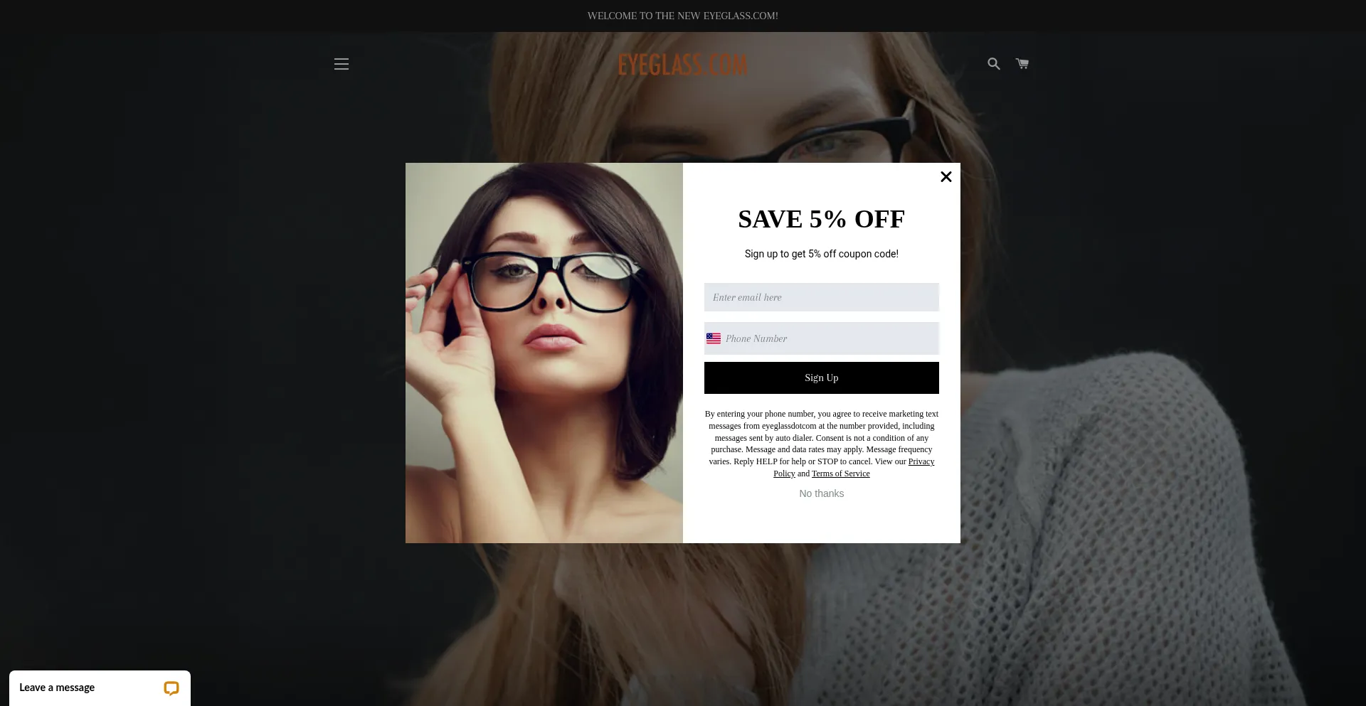 Website screenshot of Eyeglass.com
