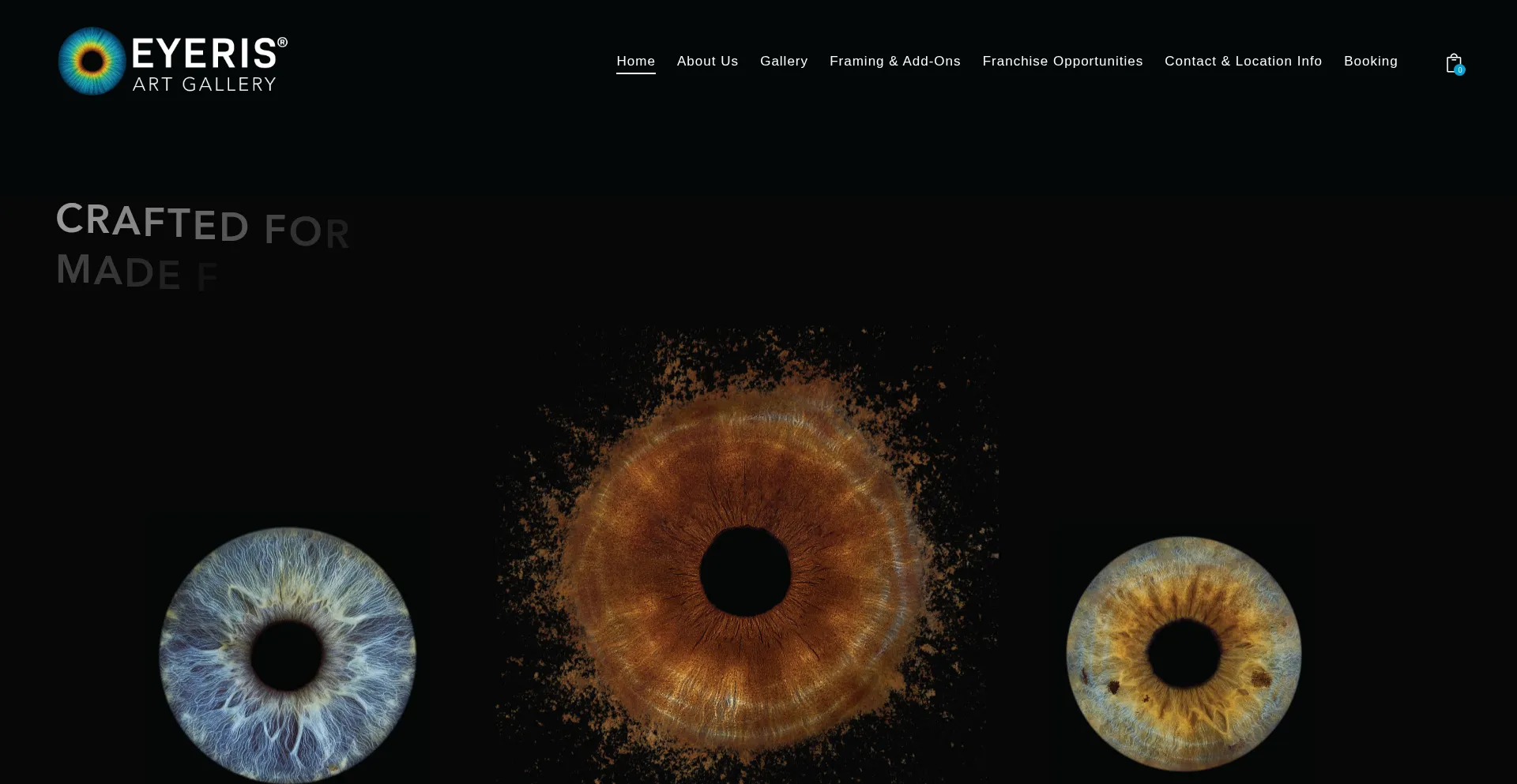 Website screenshot of Eyerisartgallery.com