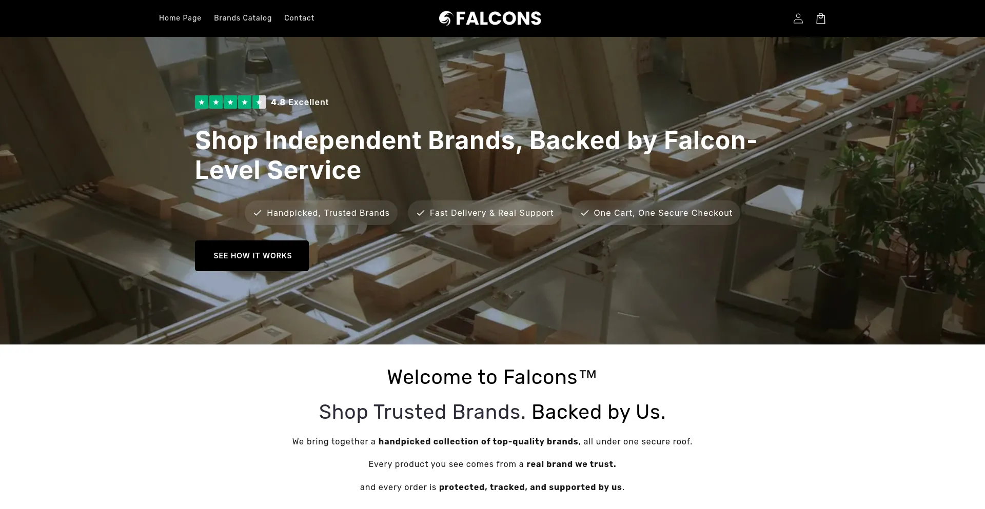 Website screenshot of Falcons-express.co