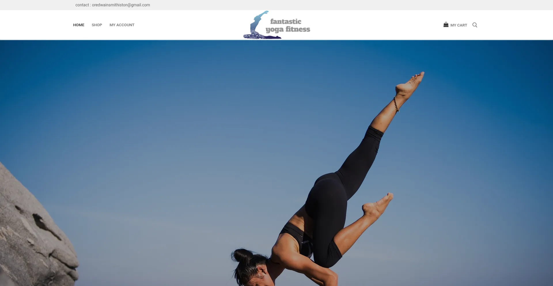 Fantasticyogafitness.com