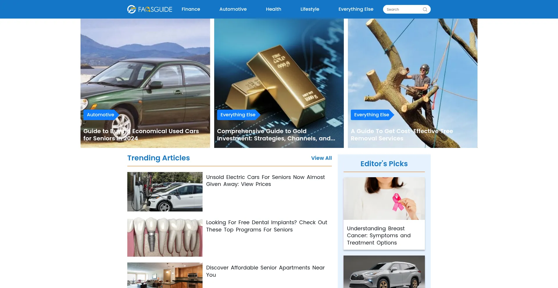 Website screenshot of Faqsguide.com
