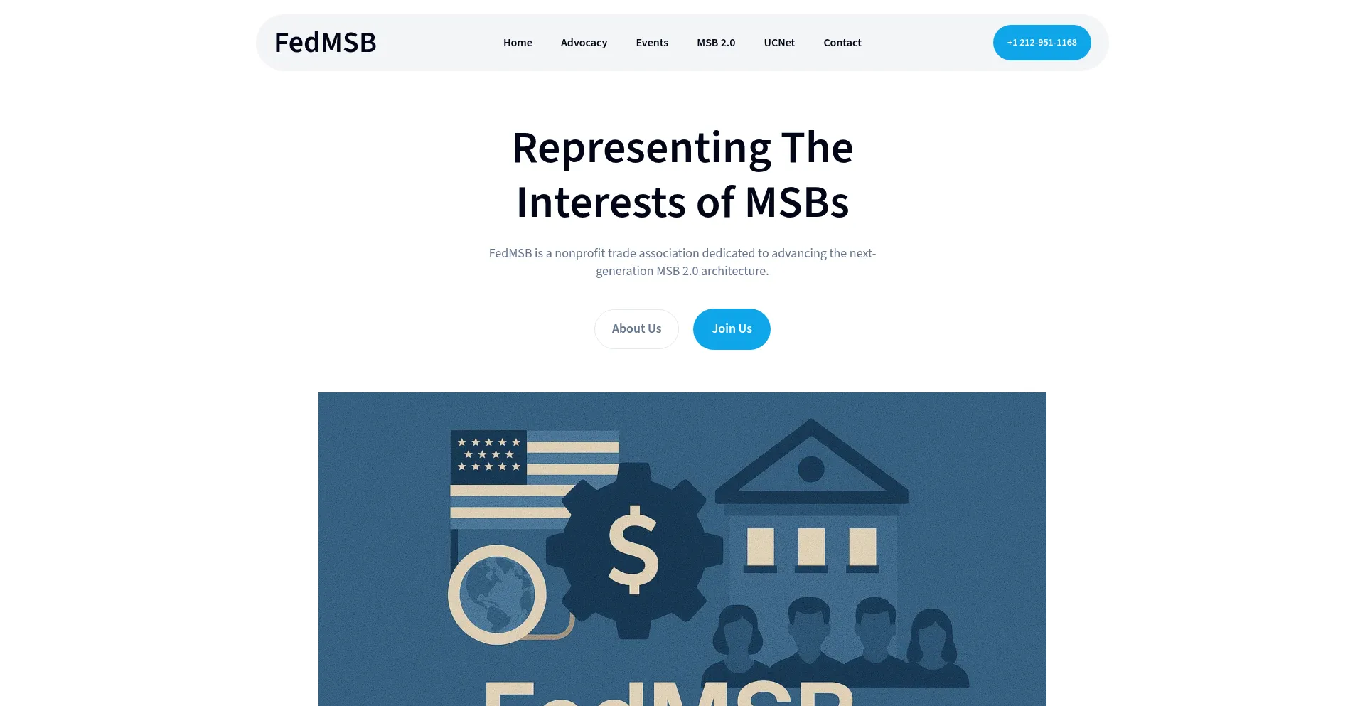 Website screenshot of Fedmsb.org