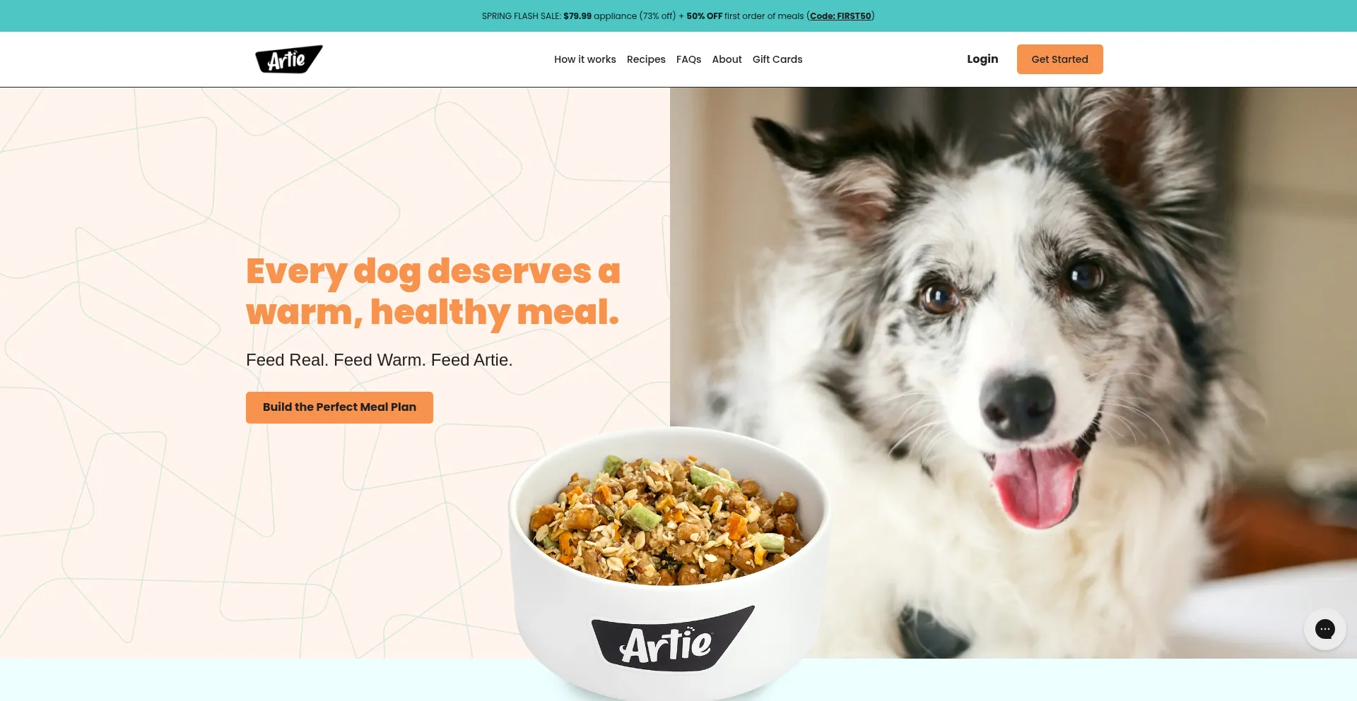 Feedartie.com é Seguro e Confiável?