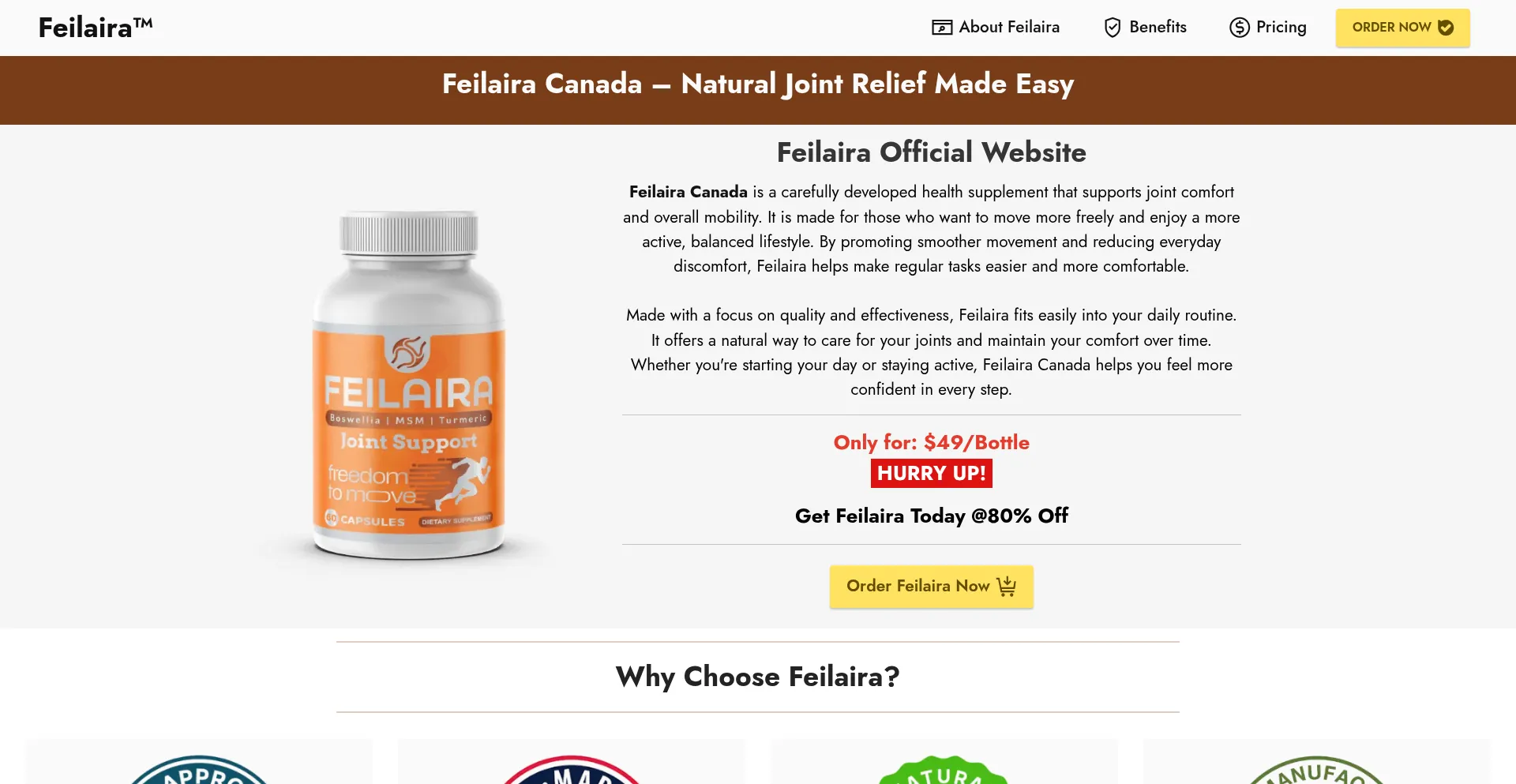 Website screenshot of Feilara.ca
