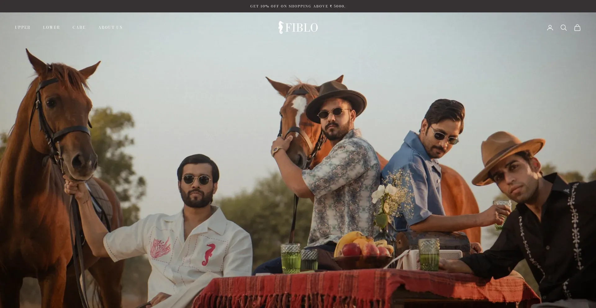 Website screenshot of Fiblo.in