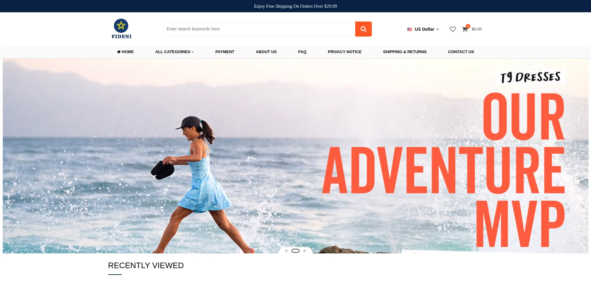 Fideni.com Screenshot