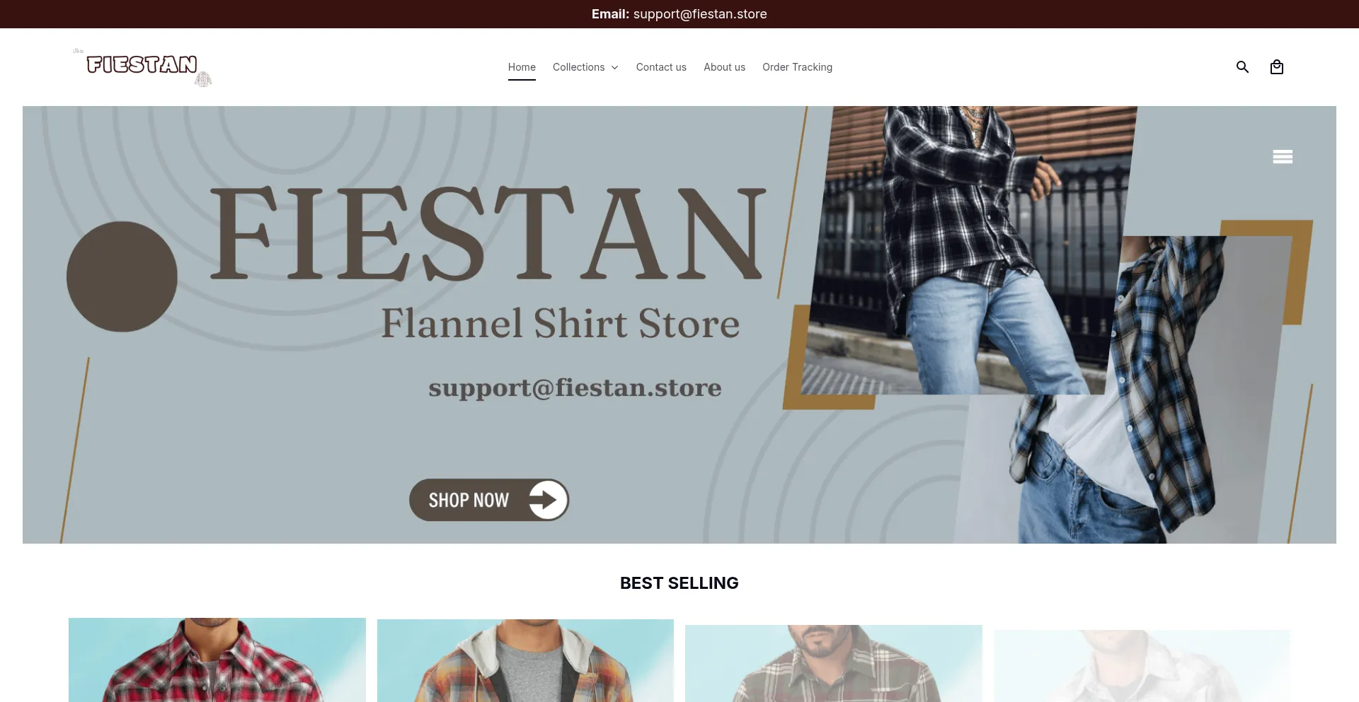 Website screenshot of Fiestan.store