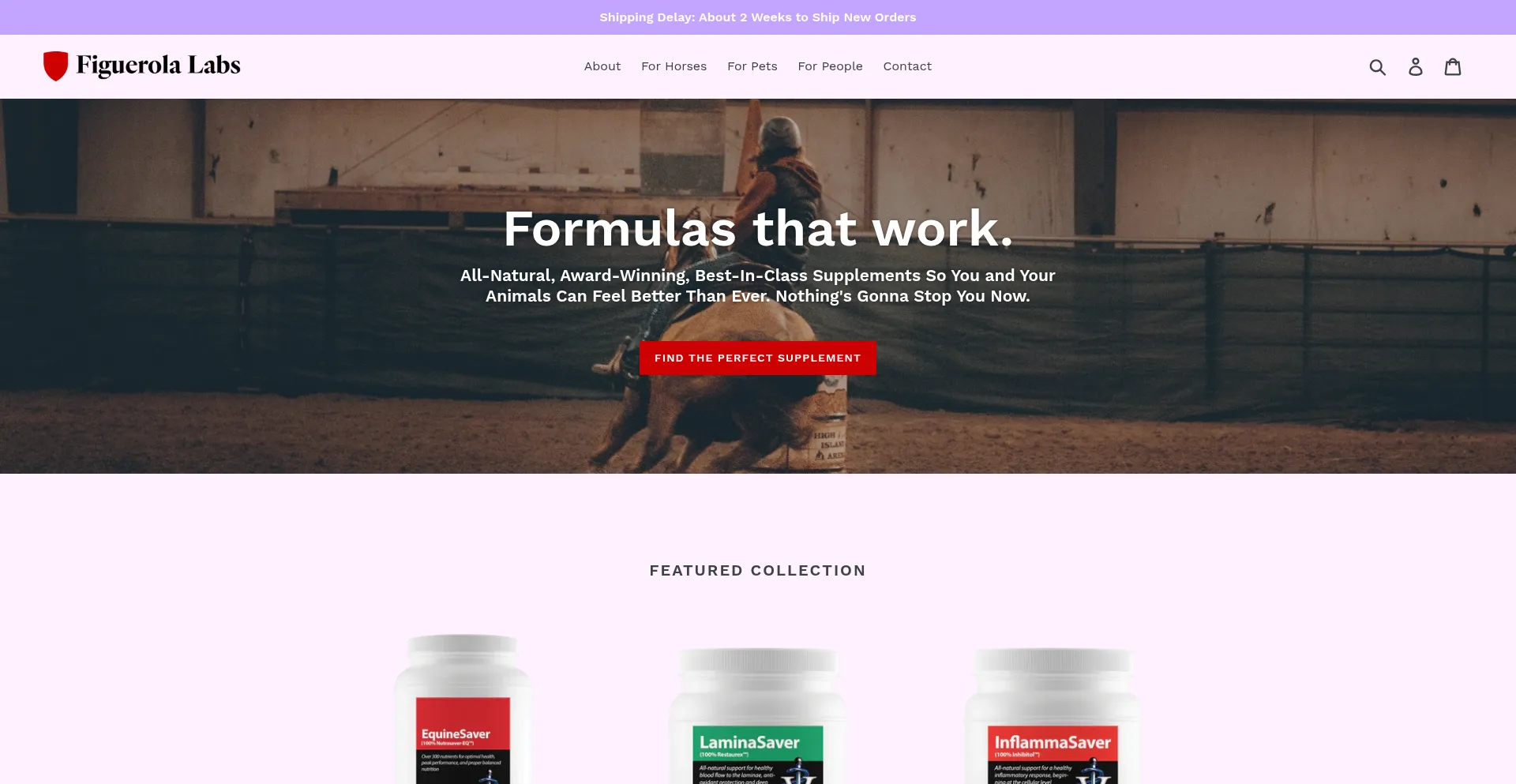 Figuerolalabs.com