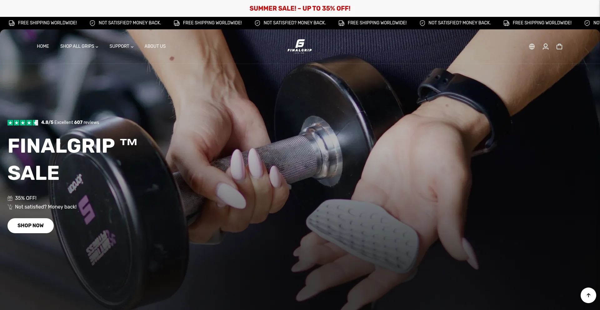Website screenshot of Finalgrip.com