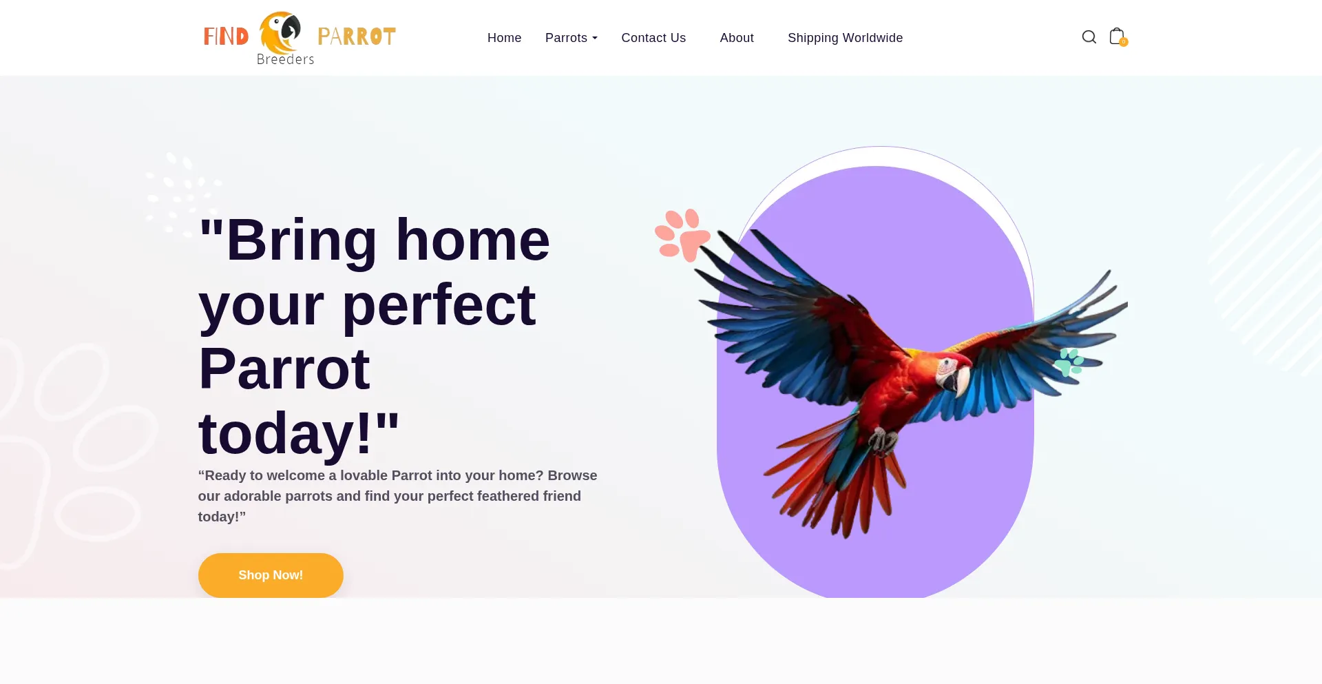 Website screenshot of Findparrotsforsale.com