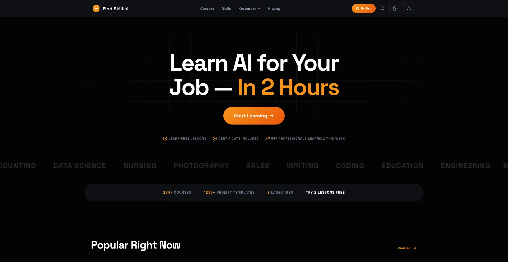 Findskill.ai