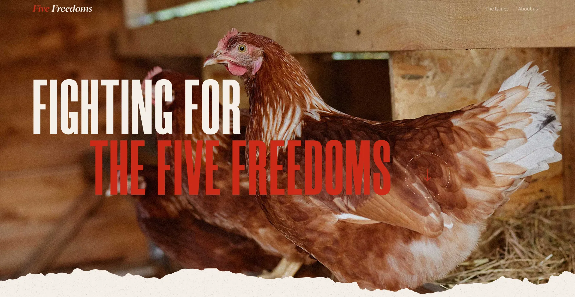 Five-freedoms.org