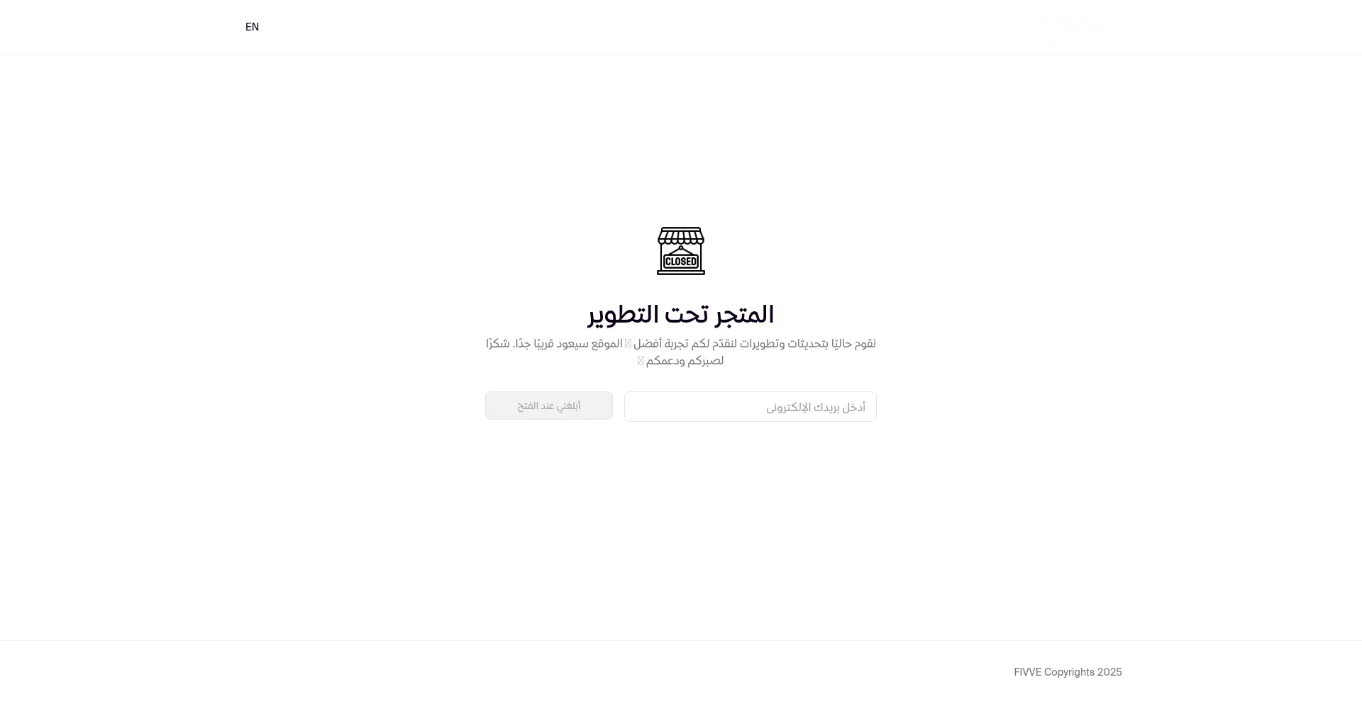 Fivvestore.com