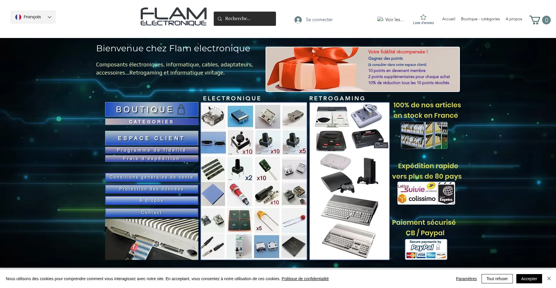 Website screenshot of Flamelectronique.com