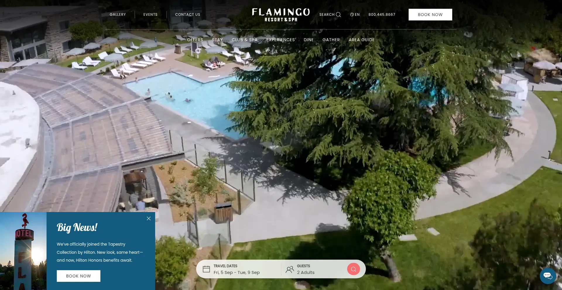 Website screenshot of Flamingoresort.com