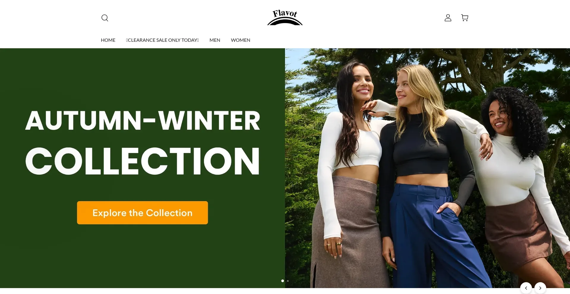 Website screenshot of Flavot.shop