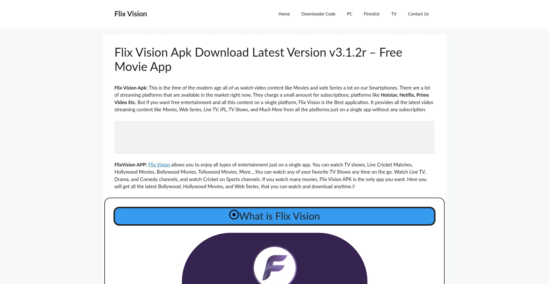 Website screenshot of Flix-vision.com