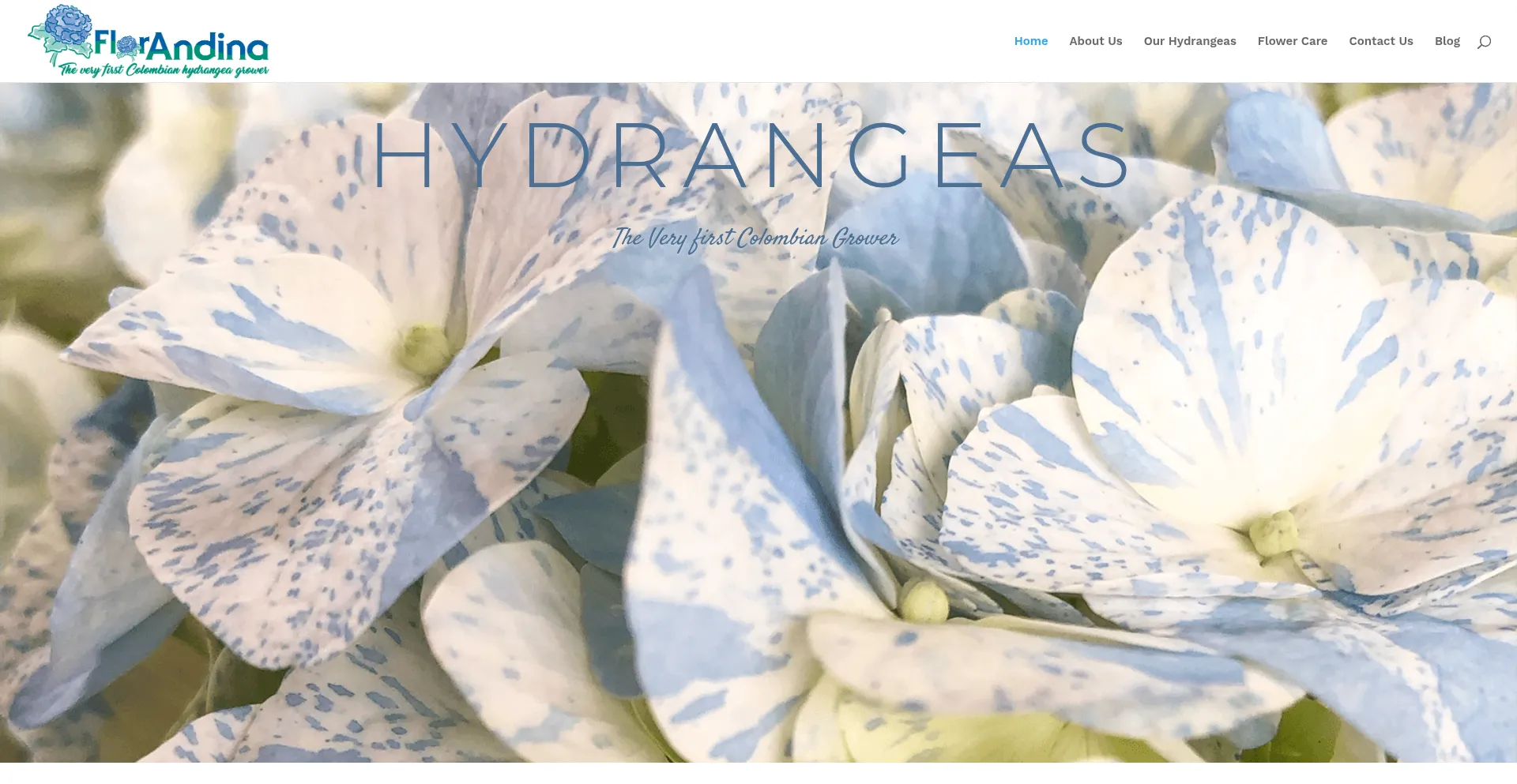 Florandina.com