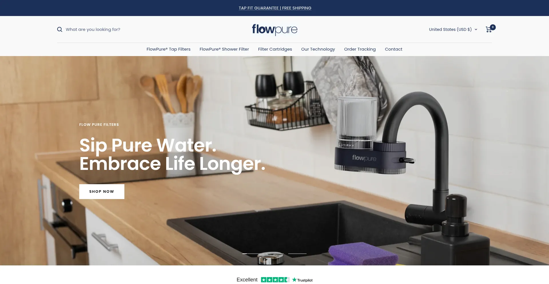 Website screenshot of Flowpure.com