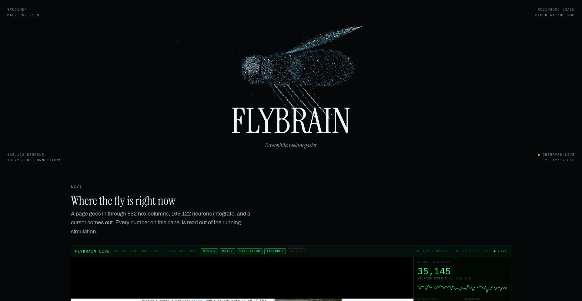Flybrain.online