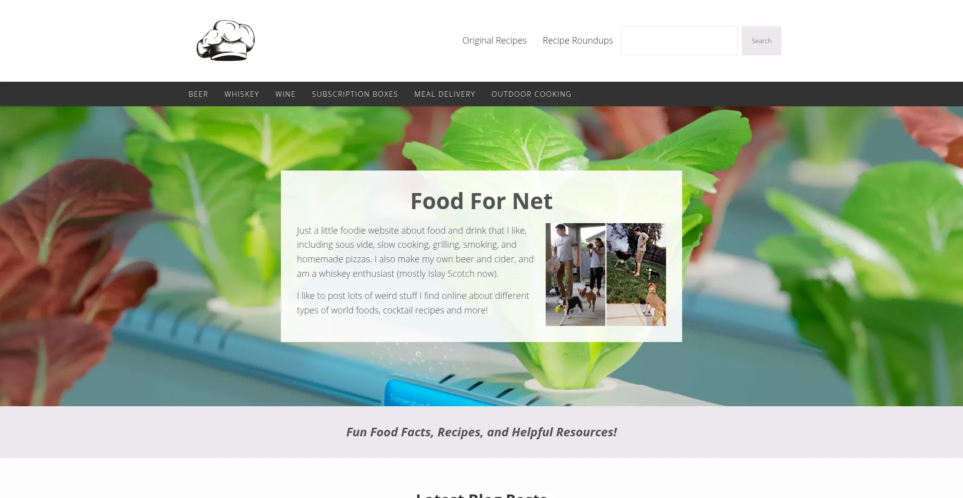 Website screenshot of Foodfornet.com