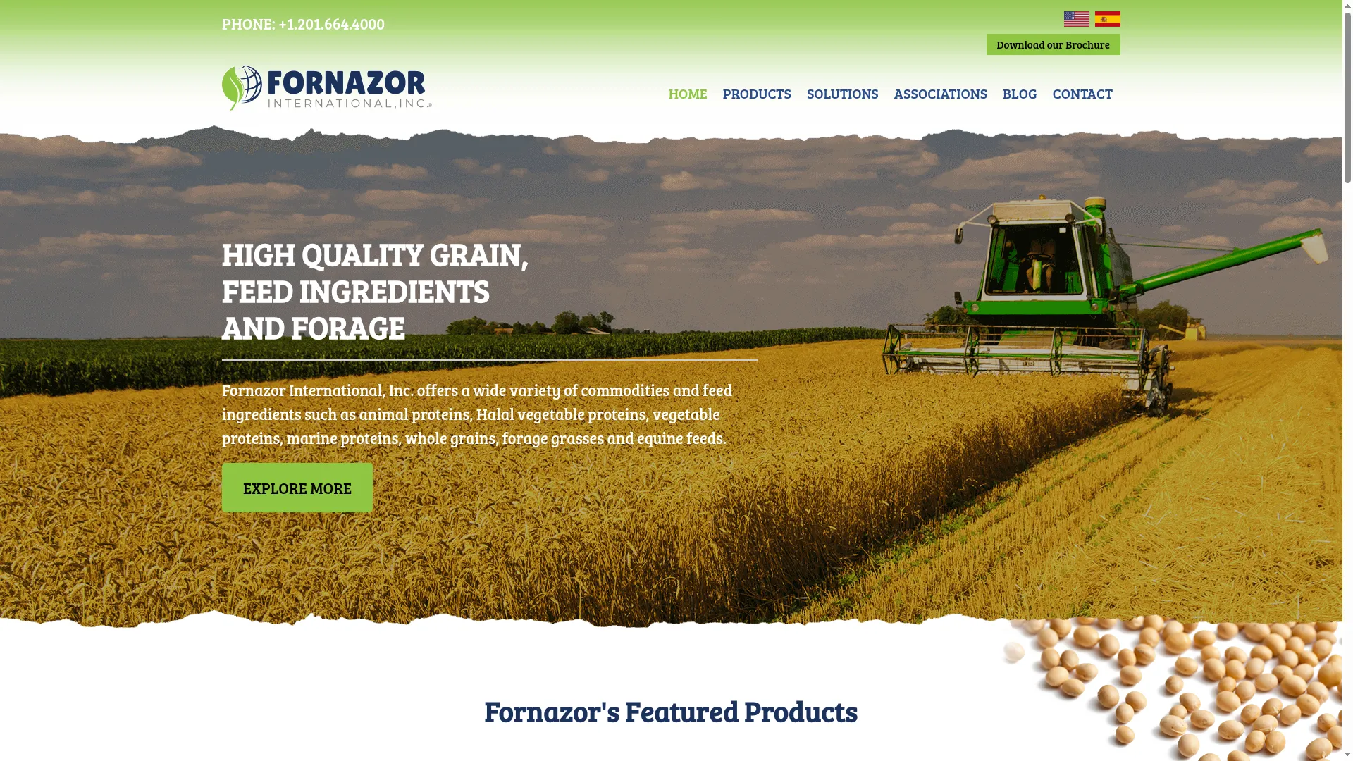 Fornazor.com