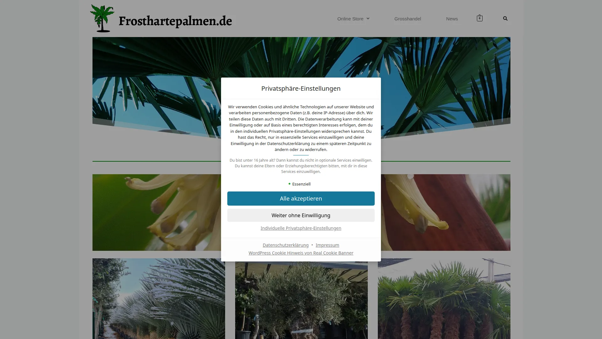 Frosthartepalmen.de