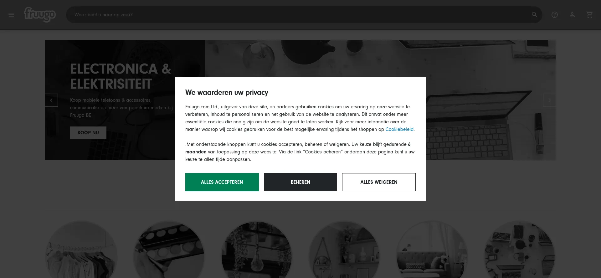 Website screenshot of Fruugo.be
