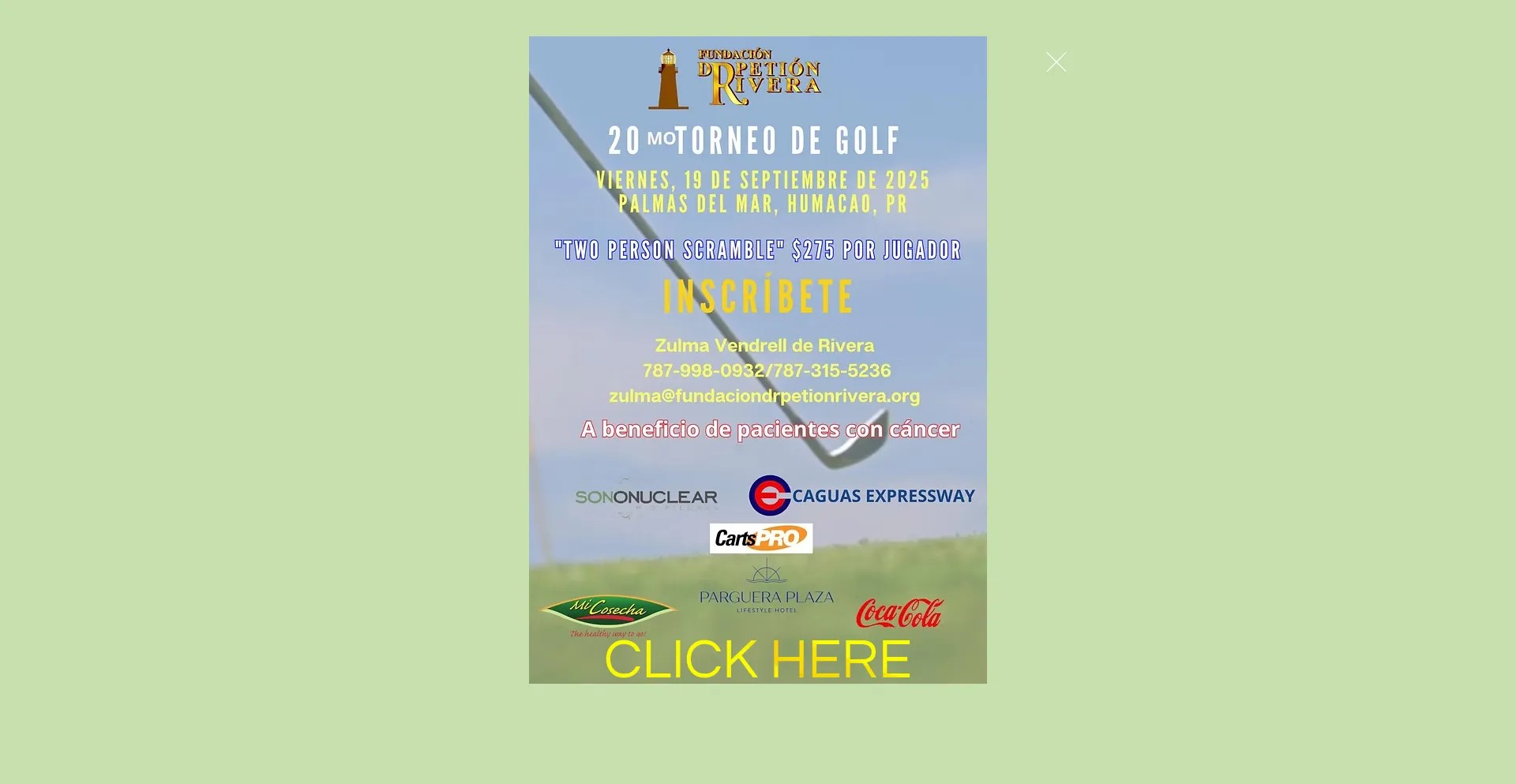Fundaciondrpetionrivera.org é Seguro e Confiável?