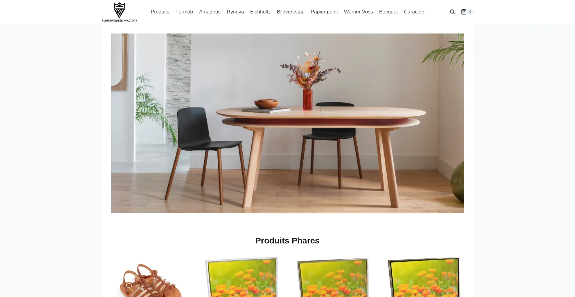 Furnituredesignfactory.com