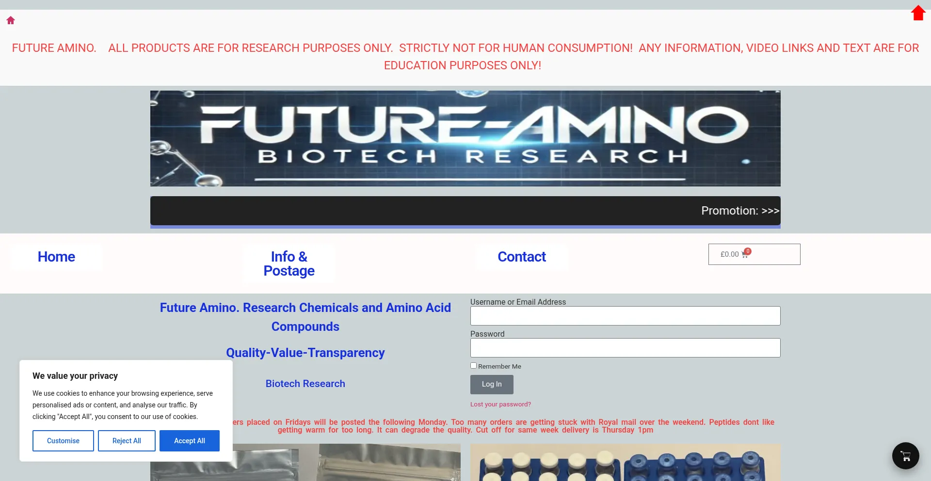 Website screenshot of Future-amino.com