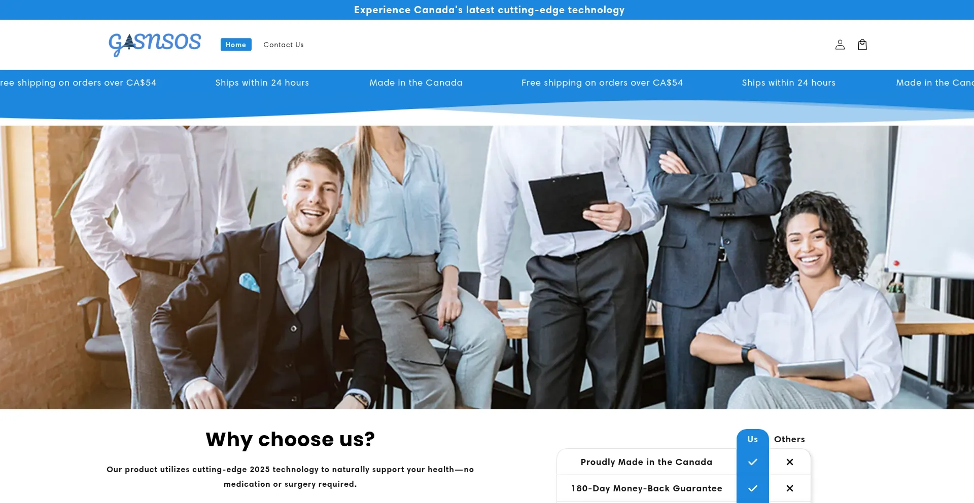 Website screenshot of Gasnsos.com